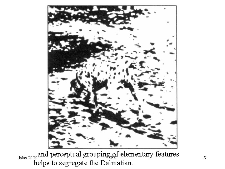 . . and perceptual grouping. SFS of elementary features helps to segregate the Dalmatian.