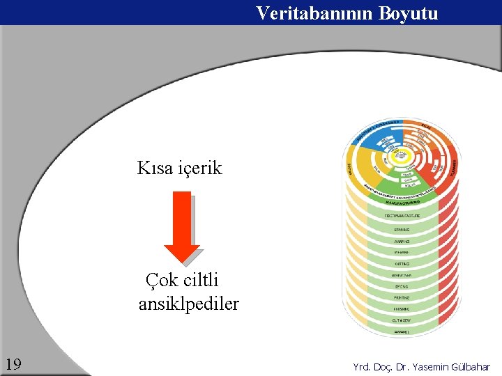 Veritabanının Boyutu Kısa içerik Çok ciltli ansiklpediler 19 Yrd. Doç. Dr. Yasemin Gülbahar 