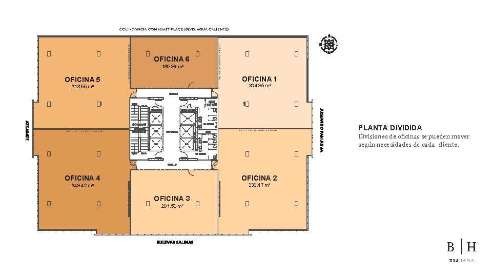 OFICINA 6 160. 99 m² OFICINA 1 OFICINA 5 304. 95 m² 313. 55