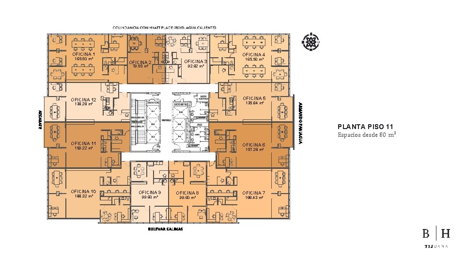 OFICINA 1 165. 50 m² OFICINA 4 OFICINA 3 OFICINA 2 165. 50 m²