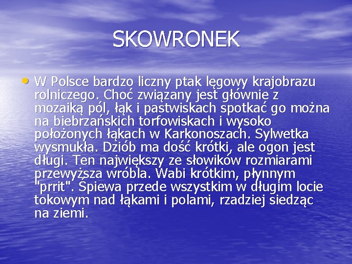 SKOWRONEK • W Polsce bardzo liczny ptak lęgowy krajobrazu rolniczego. Choć związany jest głównie