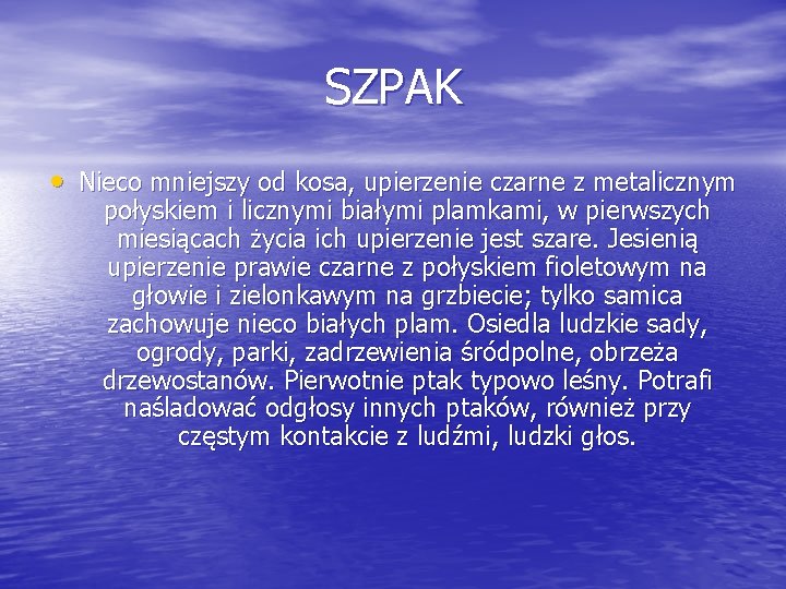 SZPAK • Nieco mniejszy od kosa, upierzenie czarne z metalicznym połyskiem i licznymi białymi