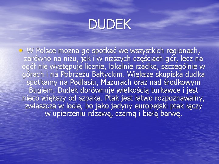 DUDEK • W Polsce można go spotkać we wszystkich regionach, zarówno na niżu, jak