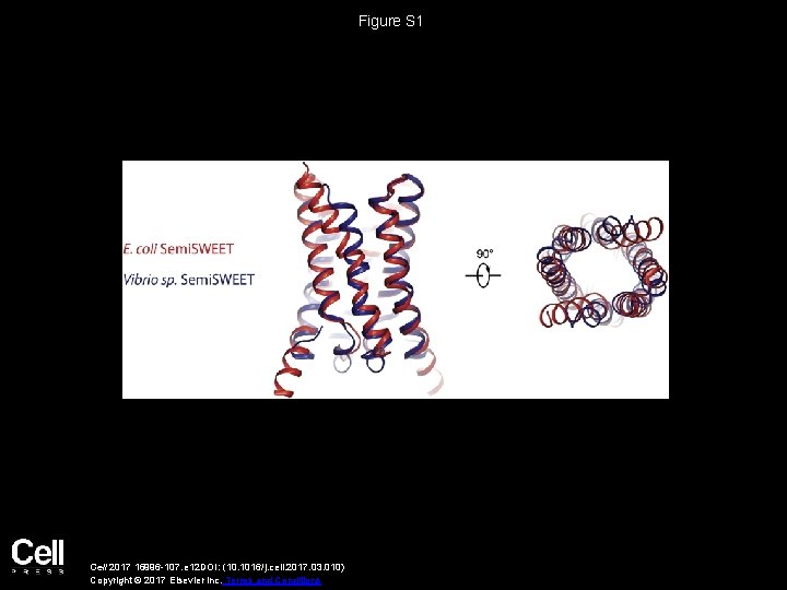 Figure S 1 Cell 2017 16996 -107. e 12 DOI: (10. 1016/j. cell. 2017.