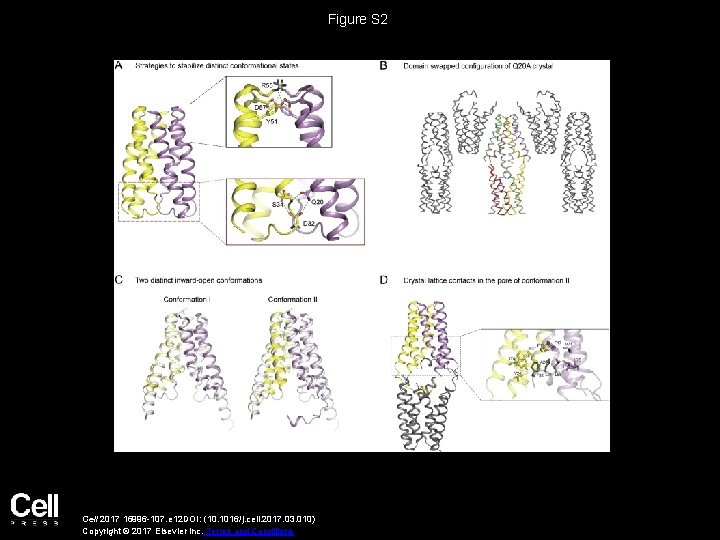 Figure S 2 Cell 2017 16996 -107. e 12 DOI: (10. 1016/j. cell. 2017.