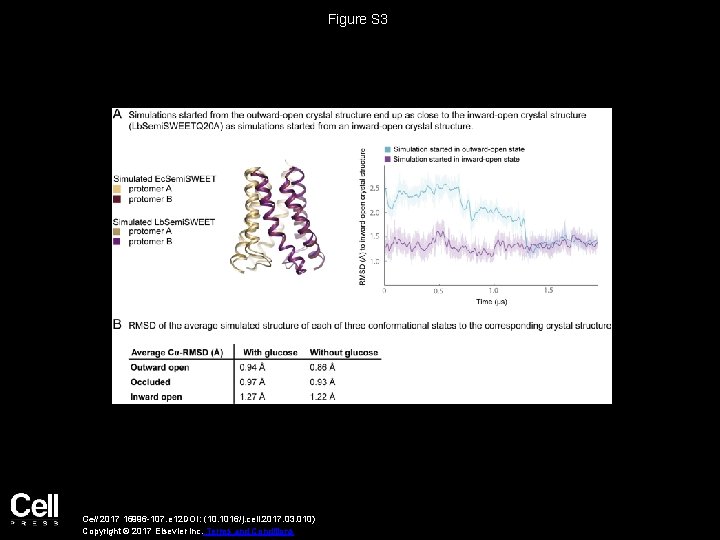 Figure S 3 Cell 2017 16996 -107. e 12 DOI: (10. 1016/j. cell. 2017.