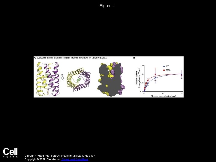 Figure 1 Cell 2017 16996 -107. e 12 DOI: (10. 1016/j. cell. 2017. 03.