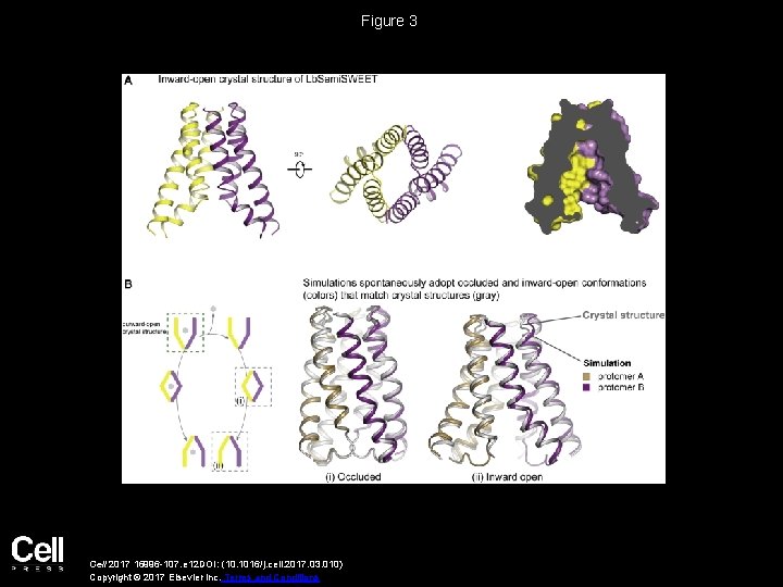 Figure 3 Cell 2017 16996 -107. e 12 DOI: (10. 1016/j. cell. 2017. 03.