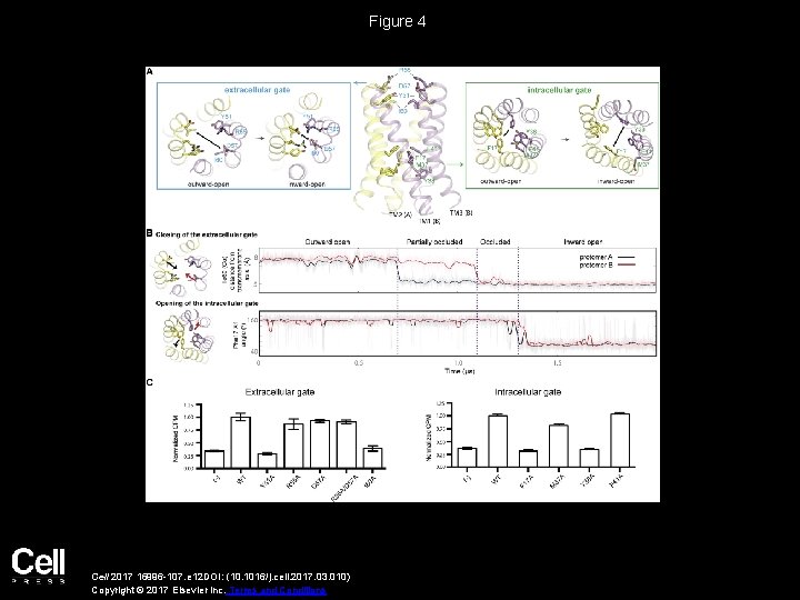 Figure 4 Cell 2017 16996 -107. e 12 DOI: (10. 1016/j. cell. 2017. 03.