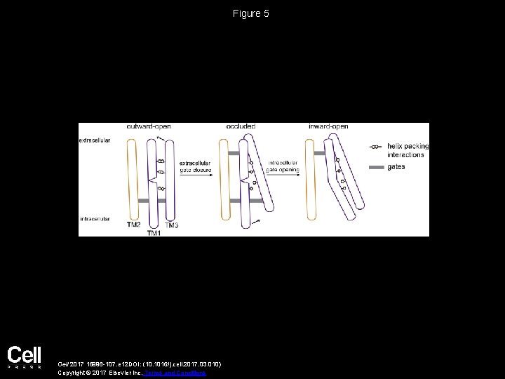 Figure 5 Cell 2017 16996 -107. e 12 DOI: (10. 1016/j. cell. 2017. 03.