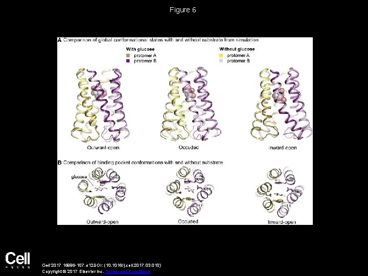 Figure 6 Cell 2017 16996 -107. e 12 DOI: (10. 1016/j. cell. 2017. 03.