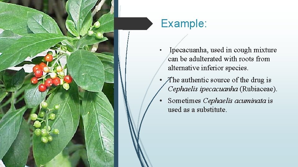 Example: • Ipecacuanha, used in cough mixture can be adulterated with roots from alternative