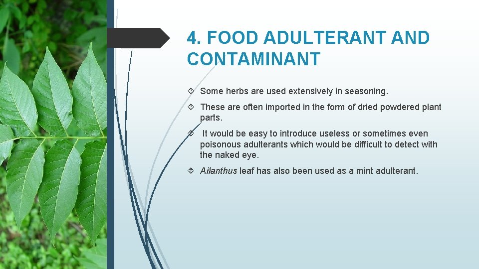 4. FOOD ADULTERANT AND CONTAMINANT Some herbs are used extensively in seasoning. These are