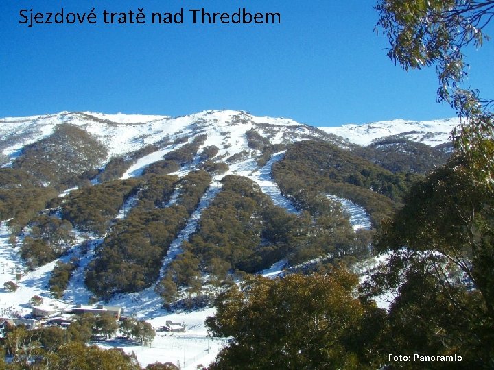 Sjezdové tratě nad Thredbem Foto: Panoramio 