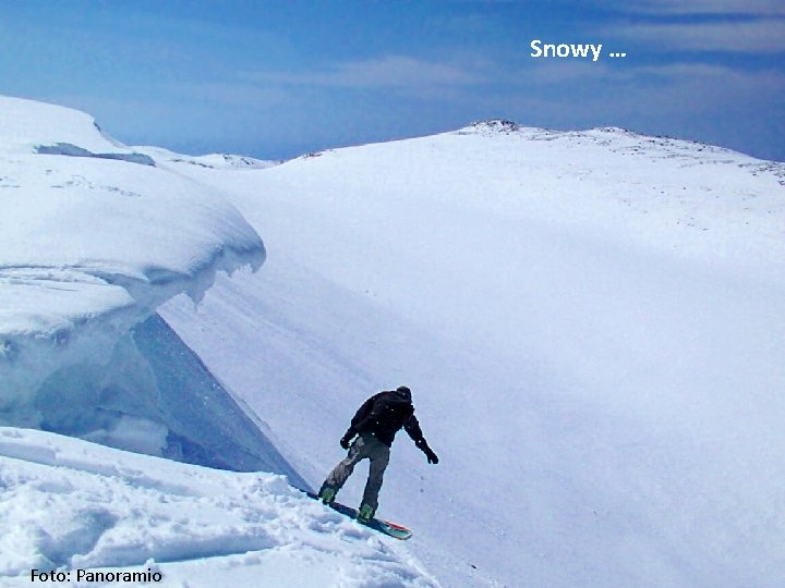 Snowy … Foto: Panoramio 