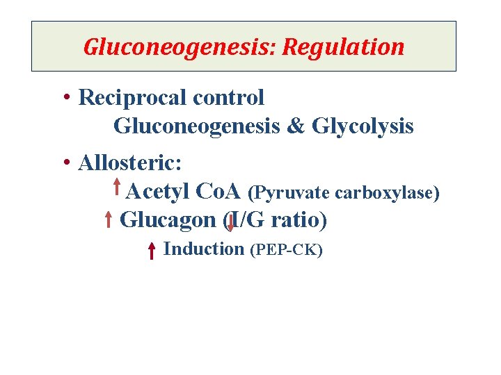 Gluconeogenesis: Regulation • Reciprocal control Gluconeogenesis & Glycolysis • Allosteric: Acetyl Co. A (Pyruvate