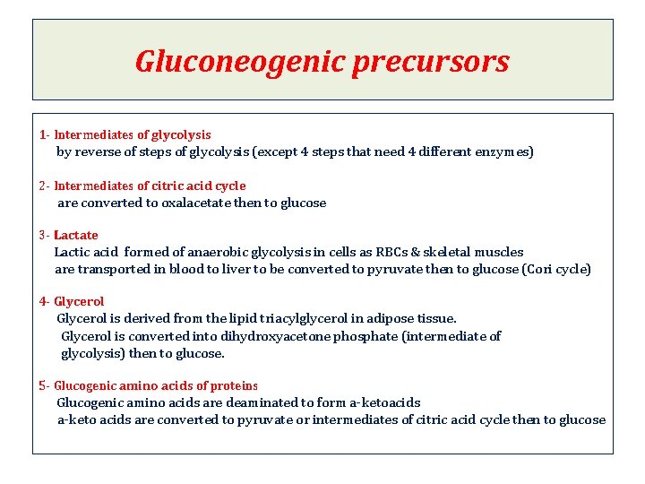 Gluconeogenic precursors 1 - Intermediates of glycolysis by reverse of steps of glycolysis (except