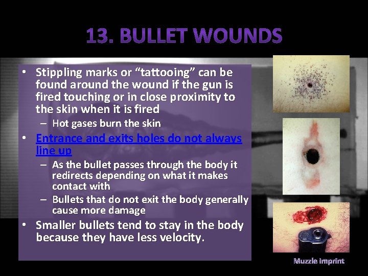  • Stippling marks or “tattooing” can be found around the wound if the