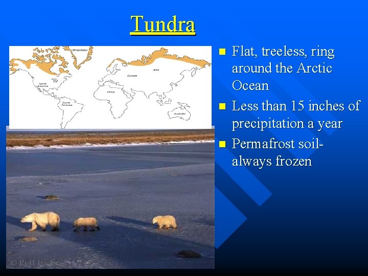 Tundra n n n Flat, treeless, ring around the Arctic Ocean Less than 15