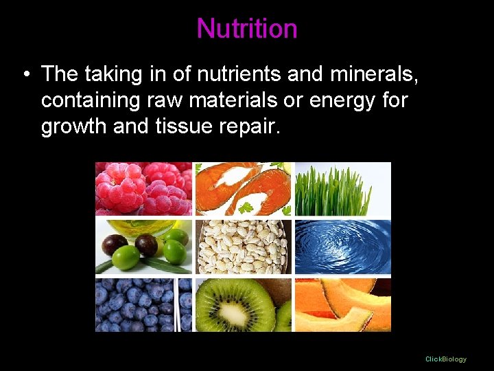 Nutrition • The taking in of nutrients and minerals, containing raw materials or energy Nutrition • The taking in of nutrients and minerals, containing raw materials or energy