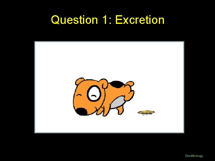 Question 1: Excretion Click. Biology Question 1: Excretion Click. Biology