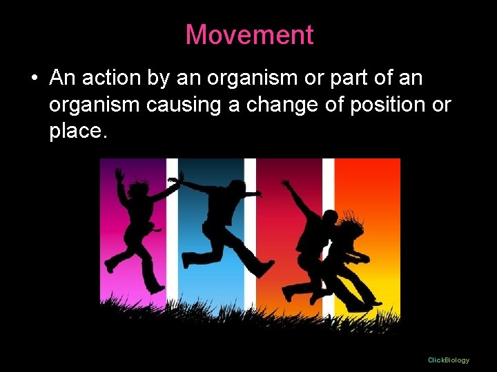 Movement • An action by an organism or part of an organism causing a Movement • An action by an organism or part of an organism causing a