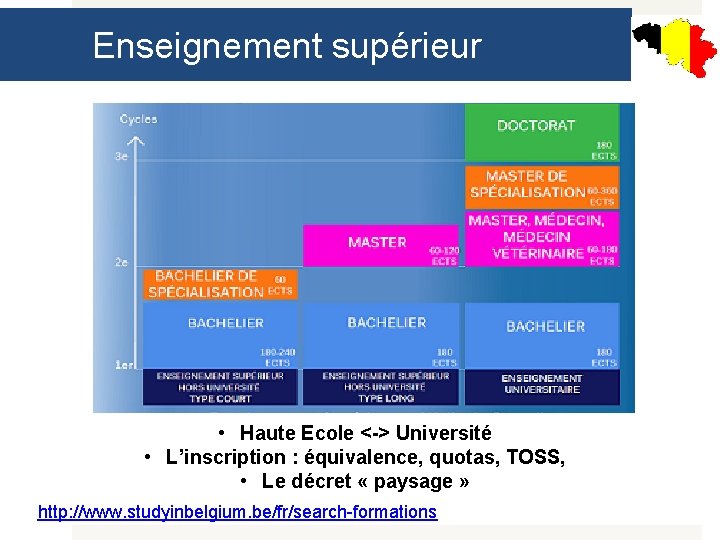 Enseignement supérieur • Haute Ecole <-> Université • L’inscription : équivalence, quotas, TOSS, •