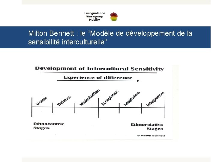 Milton Bennett : le “Modèle de développement de la sensibilité interculturelle” 
