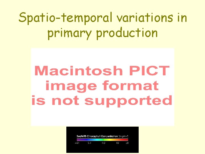 Spatio-temporal variations in primary production 