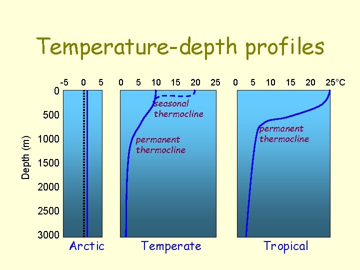 Temperature-depth profiles 0 -5 0 5 5 10 15 20 25 0 5 10