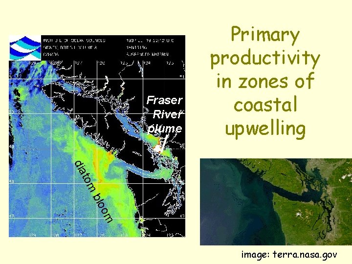 Fraser River plume Primary productivity in zones of coastal upwelling om t dia m