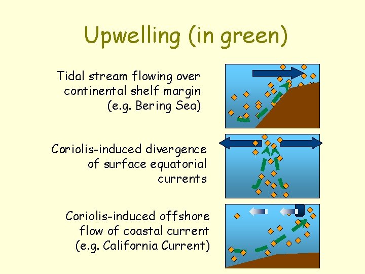 Upwelling (in green) Tidal stream flowing over continental shelf margin (e. g. Bering Sea)