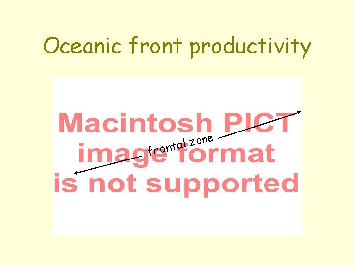 Oceanic front productivity e n o z l a front 