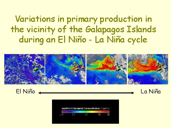 Variations in primary production in the vicinity of the Galapagos Islands during an El