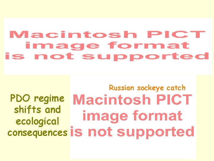 PDO regime shifts and ecological consequences Russian sockeye catch 