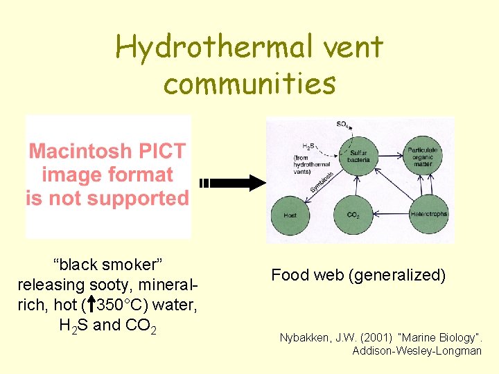 Hydrothermal vent communities “black smoker” releasing sooty, mineralrich, hot ( 350°C) water, H 2