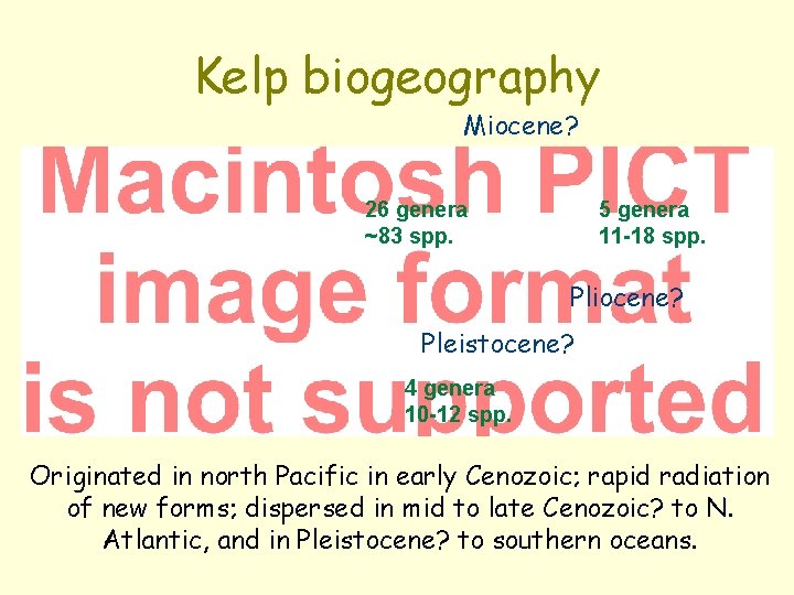 Kelp biogeography Miocene? 26 genera ~83 spp. 5 genera 11 -18 spp. Pliocene? Pleistocene?