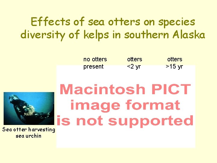 Effects of sea otters on species diversity of kelps in southern Alaska no otters