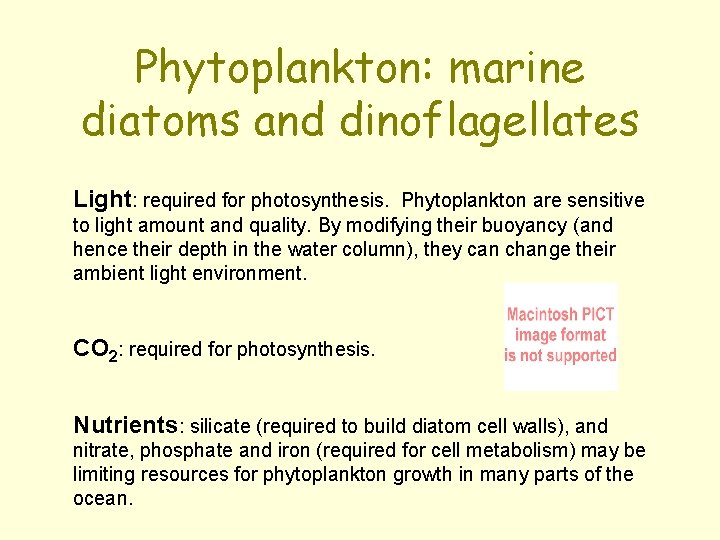 Phytoplankton: marine diatoms and dinoflagellates Light: required for photosynthesis. Phytoplankton are sensitive to light