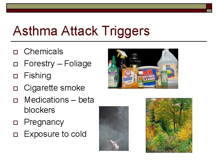 Asthma Attack Triggers o o o o Chemicals Forestry – Foliage Fishing Cigarette smoke