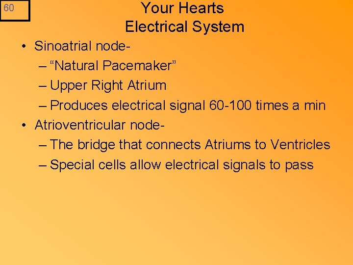 60 Your Hearts Electrical System • Sinoatrial node– “Natural Pacemaker” – Upper Right Atrium