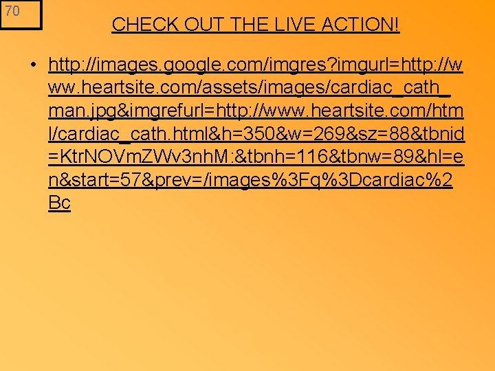 70 CHECK OUT THE LIVE ACTION! • http: //images. google. com/imgres? imgurl=http: //w ww.