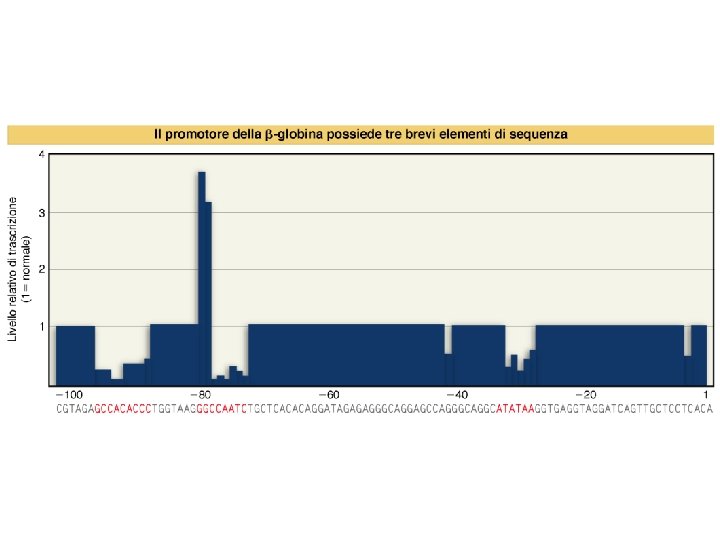 Watson et al. , BIOLOGIA MOLECOLARE DEL GENE, Zanichelli editore S. p. A. Copyright