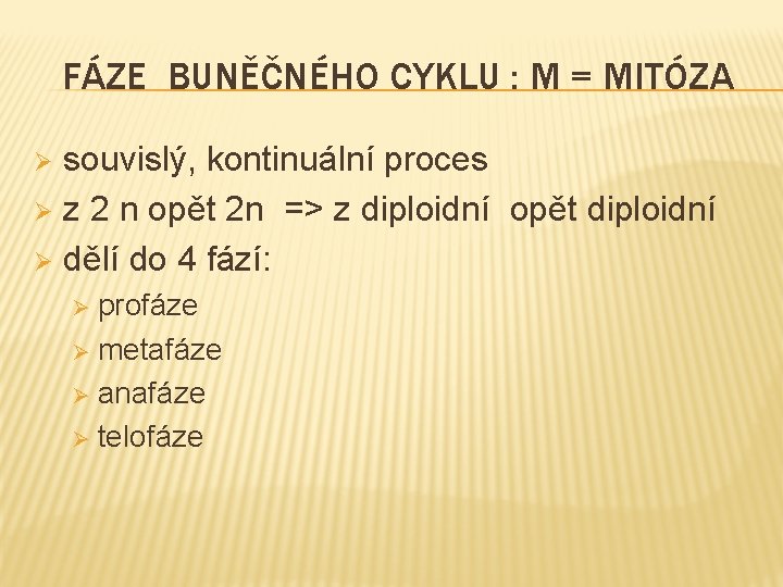 FÁZE BUNĚČNÉHO CYKLU : M = MITÓZA souvislý, kontinuální proces Ø z 2 n