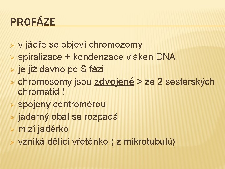 PROFÁZE Ø Ø Ø Ø v jádře se objeví chromozomy spiralizace + kondenzace vláken