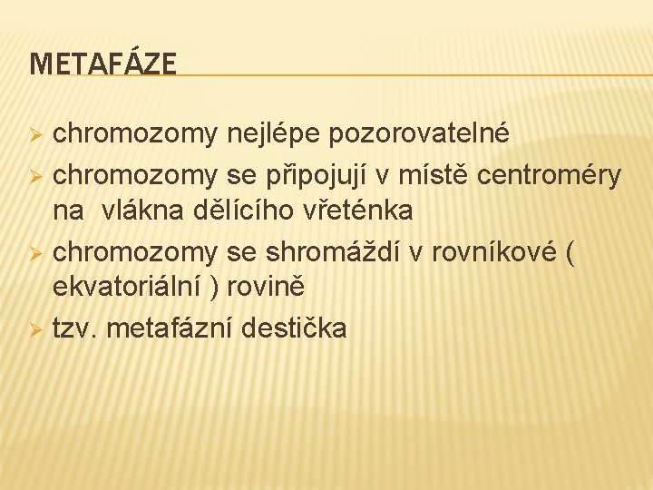 METAFÁZE chromozomy nejlépe pozorovatelné Ø chromozomy se připojují v místě centroméry na vlákna dělícího