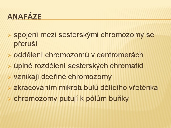 ANAFÁZE spojení mezi sesterskými chromozomy se přeruší Ø oddělení chromozomů v centromerách Ø úplné