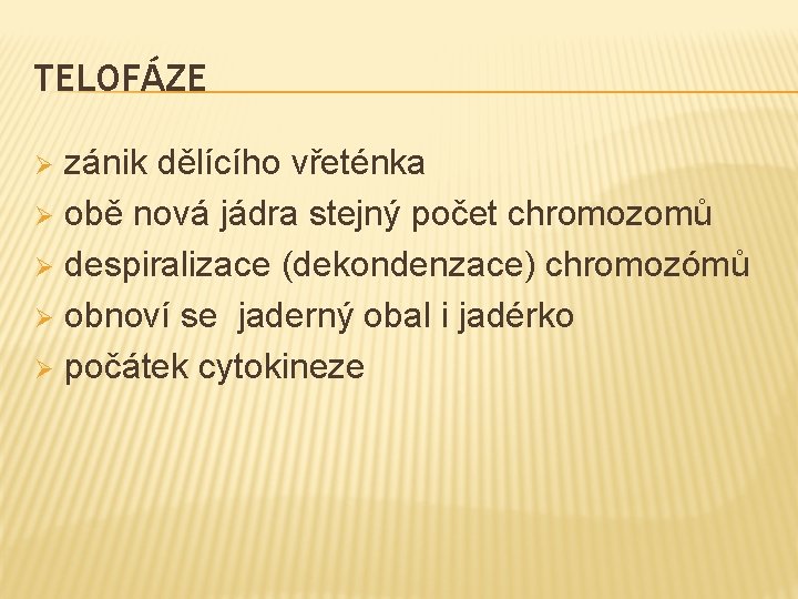 TELOFÁZE zánik dělícího vřeténka Ø obě nová jádra stejný počet chromozomů Ø despiralizace (dekondenzace)