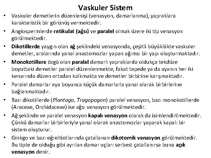 Vaskuler Sistem • Vaskuler demetlerin düzenlenişi (venasyon, damarlanma), yapraklara karakteristik bir görünüş vermektedir. •