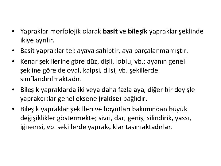  • Yapraklar morfolojik olarak basit ve bileşik yapraklar şeklinde ikiye ayrılır. • Basit